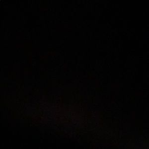 Meet your Posher, Audrey